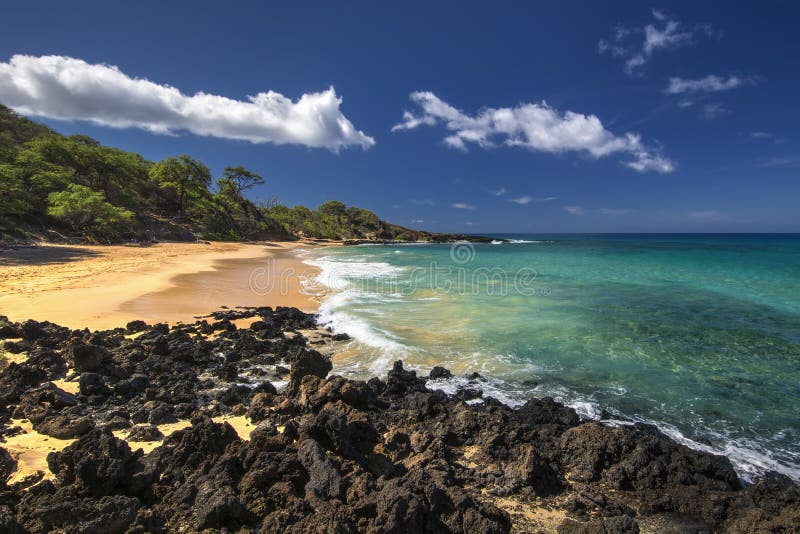 dion salem recommends Little Beach Maui Photos