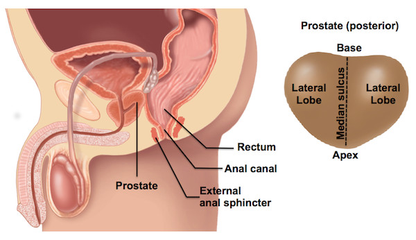 don jones jr recommends male rectal exam video pic