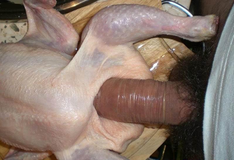 Man And Chicken Porn for twink