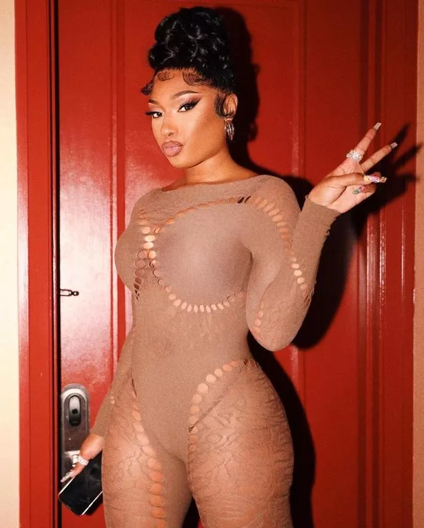 aaron engstrom share megan thee stallion nip slip photos