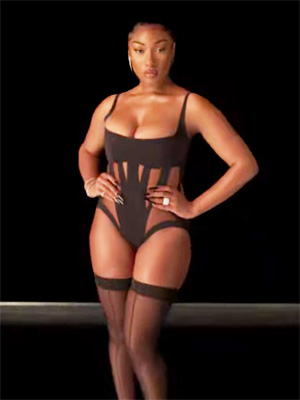 art artzz recommends megan thee stallion pantyhose pic