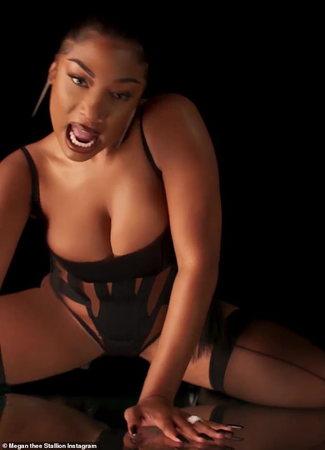 dale haggerty recommends Megan Thee Stallion Pantyhose