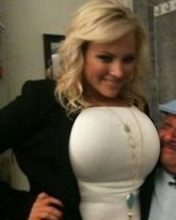 amanda jo hall recommends meghan mccain big tits pic