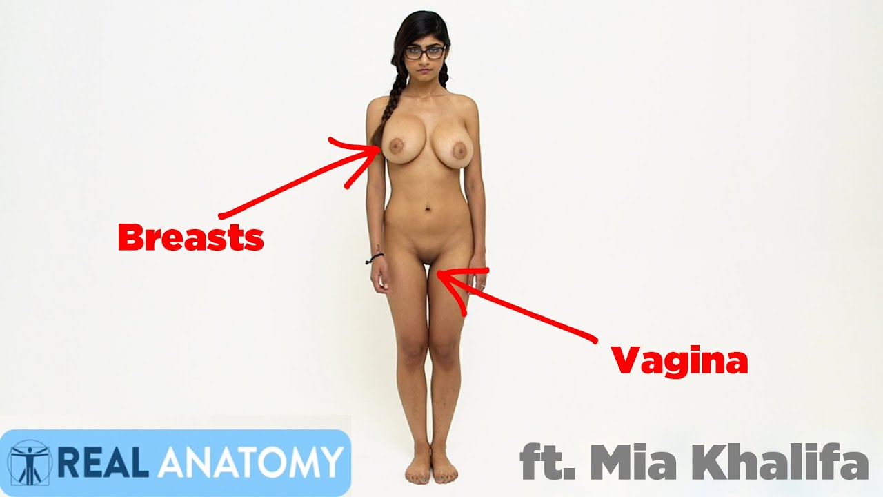 Best of Mia khalifa anatomy