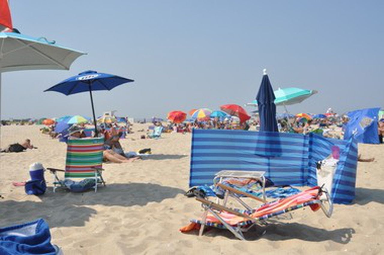 cash liu share nude beach in sandy hook nj photos
