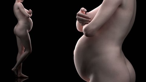nude pregnancy time lapse