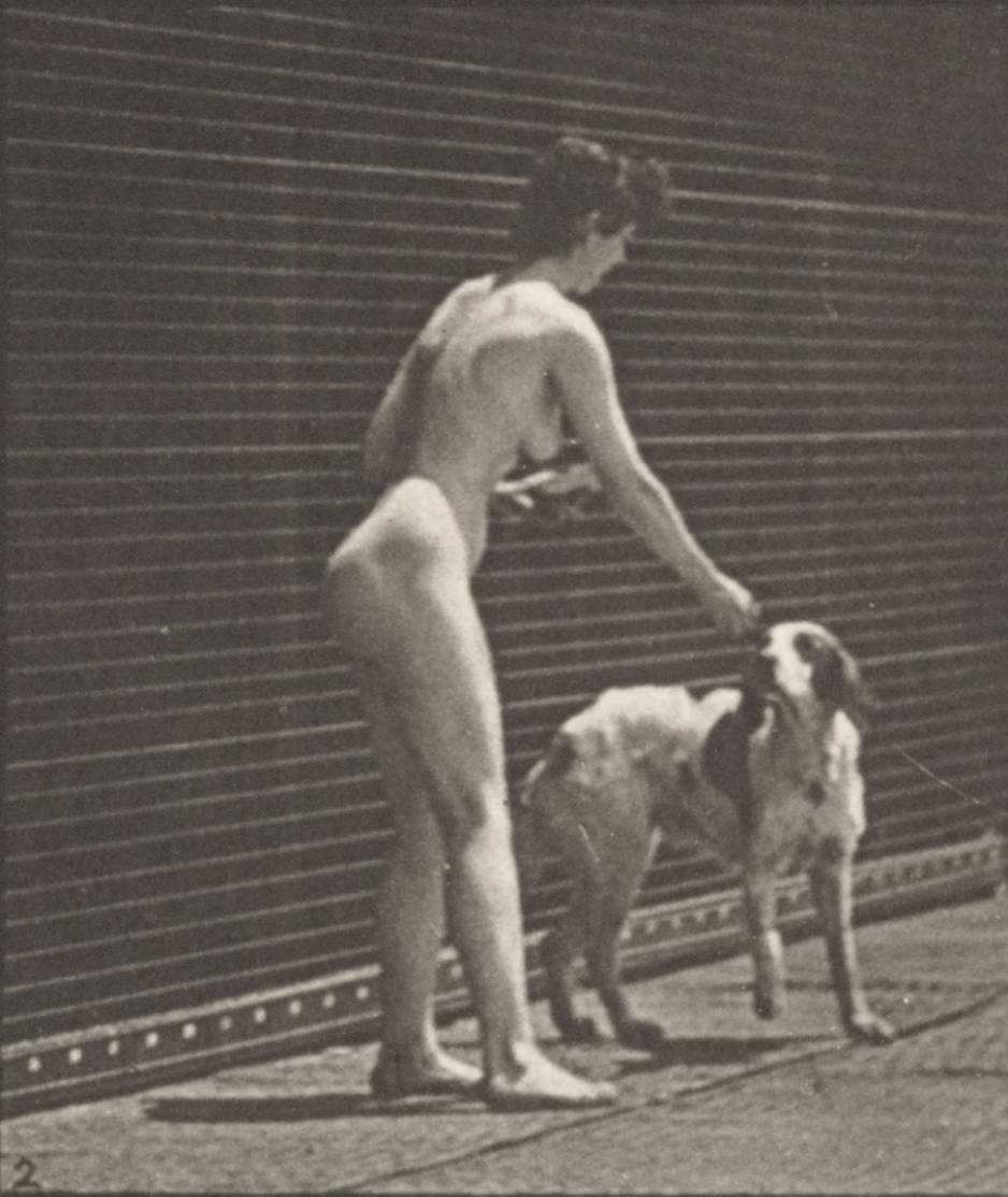 diane beardsley recommends Nude Women And Dogs