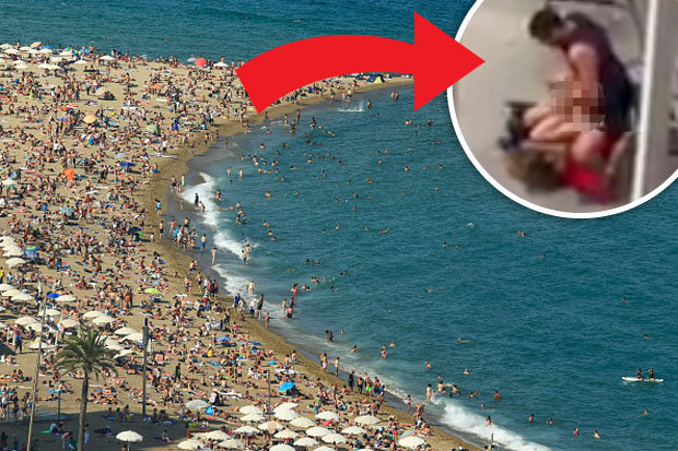 cathy jose add nudists having sex on the beach photo