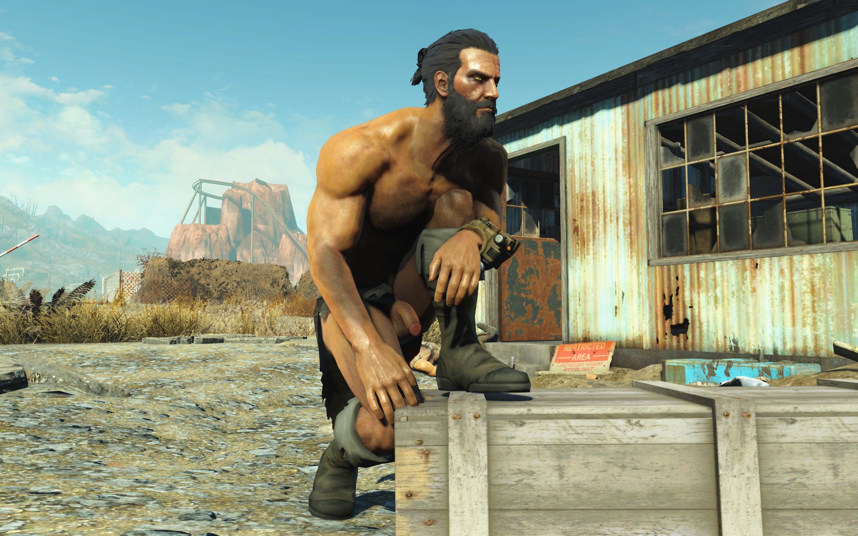 danushka silva recommends Nudity Mod Fallout 4