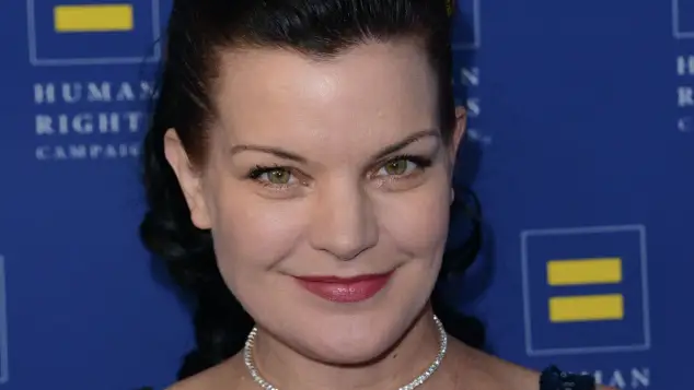 celine contreras recommends Pauley Perrette Sexy Pictures