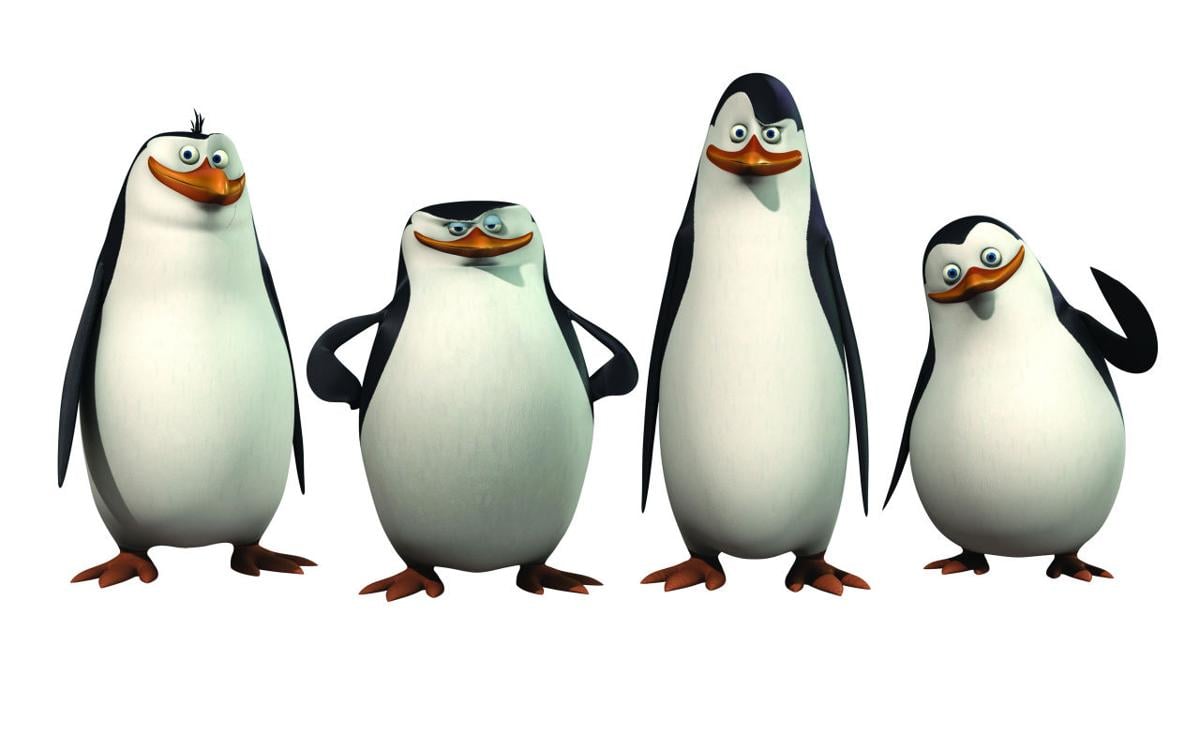 Best of Penguins of madagascar pics