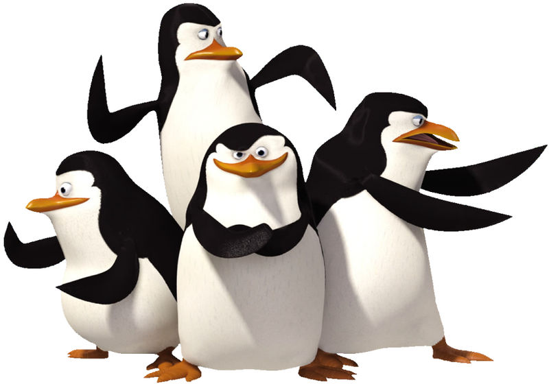 brian petri add penguins of madagascar pics photo