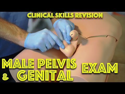 andi nova recommends penis exams videos pic