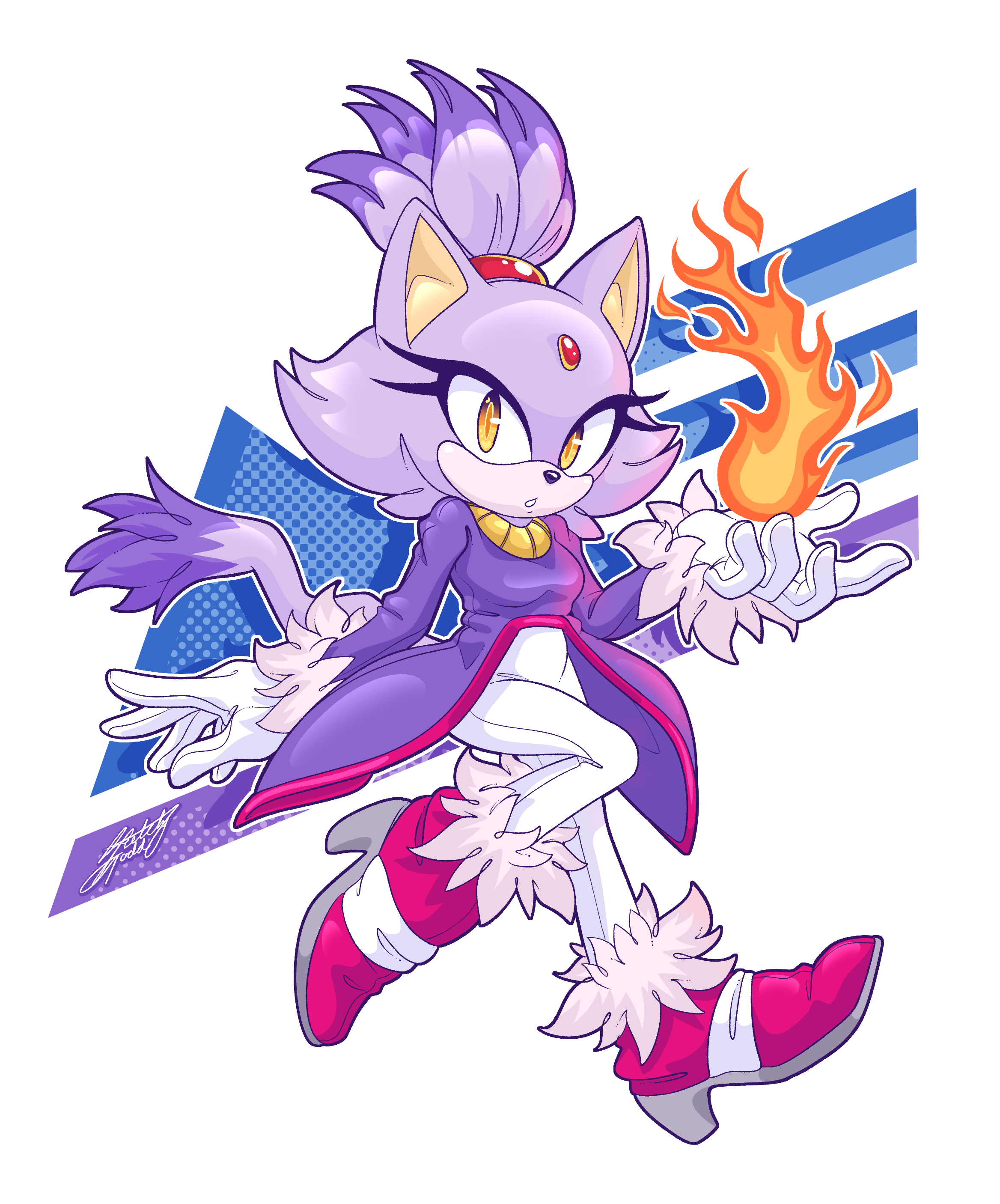 pics of blaze the cat