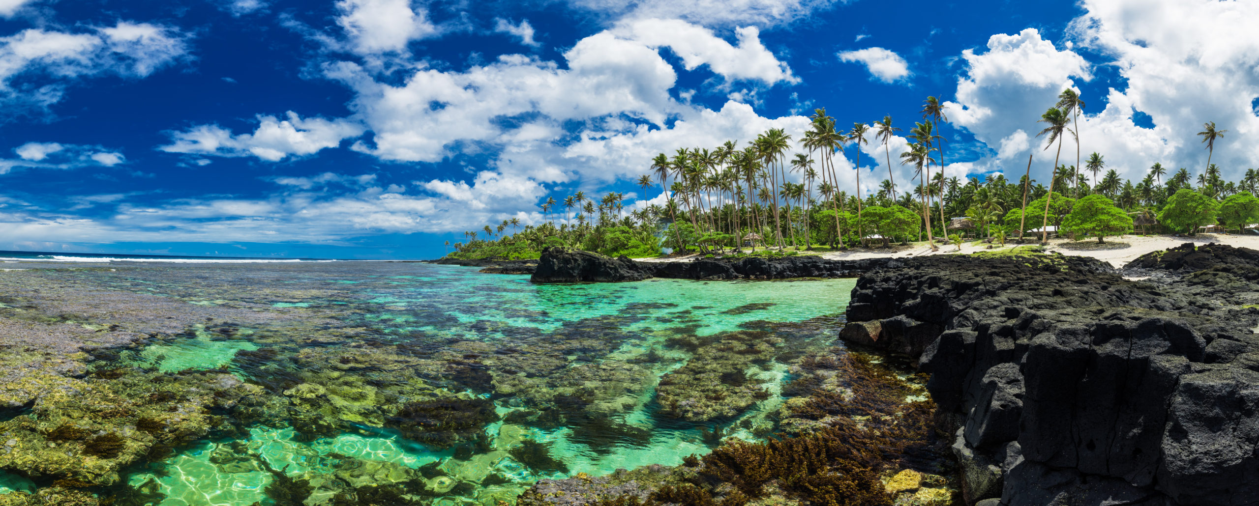 charlene walden recommends pics of samoa pic