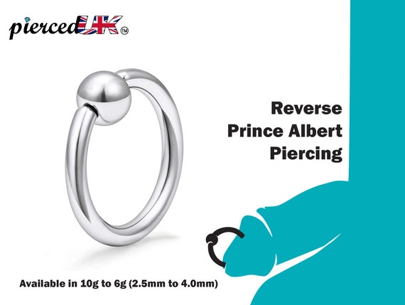 anthony massie recommends prince albert piercing gauge pic