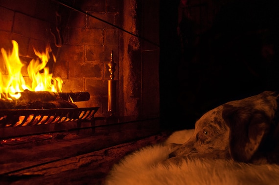 Best of Romantic rug in front of fireplace