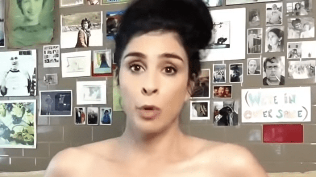 derrick collett recommends Sarah Silverman Naked Pictures