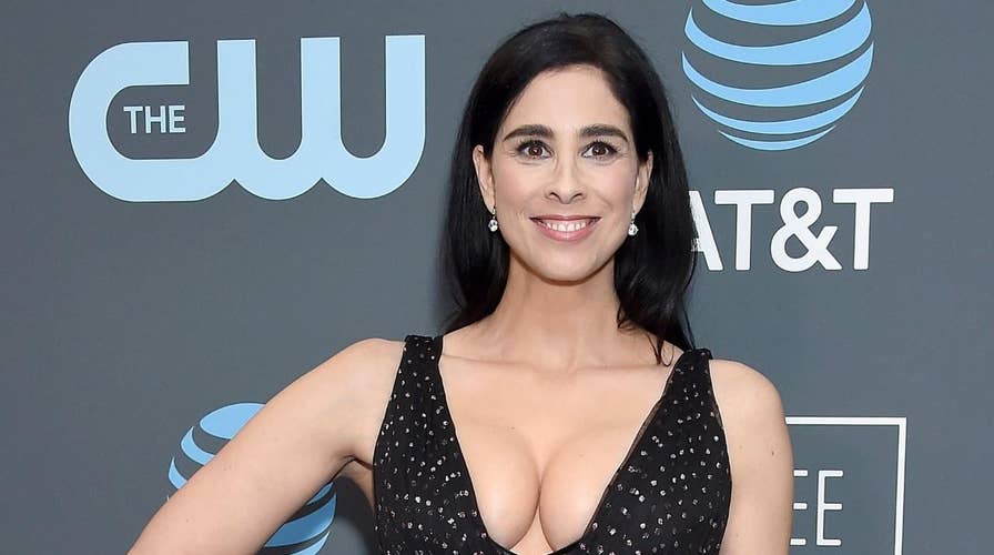 brad wiseman recommends sarah silverman nipple slip pic