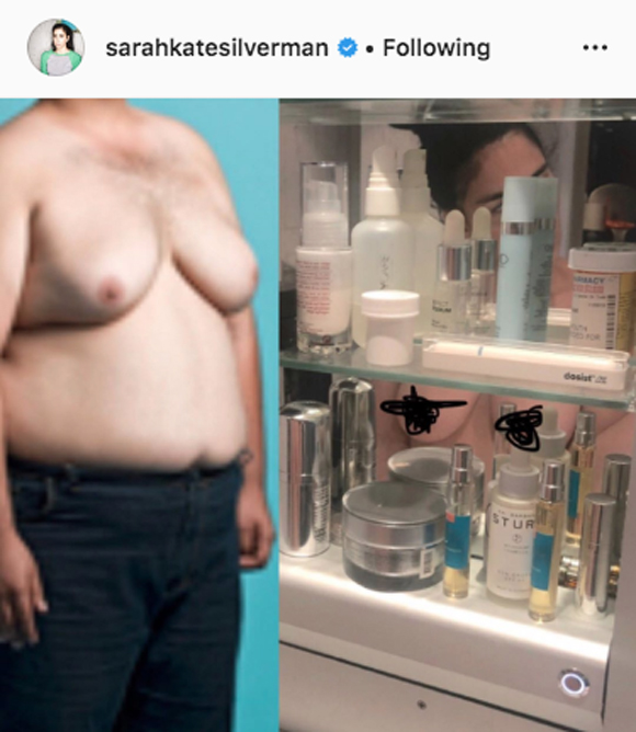 dion rice recommends sarah silverman tits pic