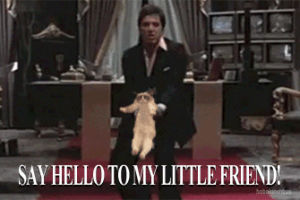 amber nagar recommends say hello to my little friend gif pic