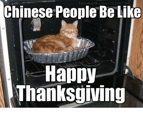 daniel stouffer recommends sexy thanksgiving memes pic