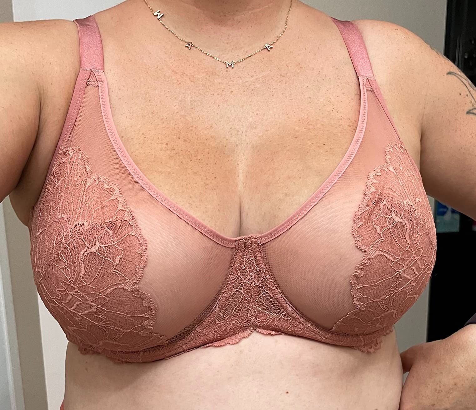 brent d cook recommends sheer bra big boobs pic