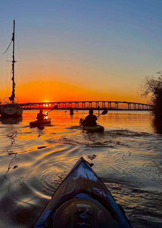 charlotte bowerman add skip the game lake charles la photo