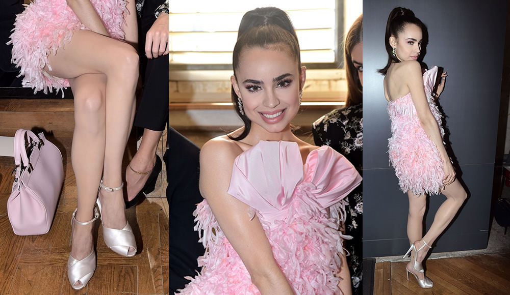 caitlin gomes recommends sofia carson upskirt pic