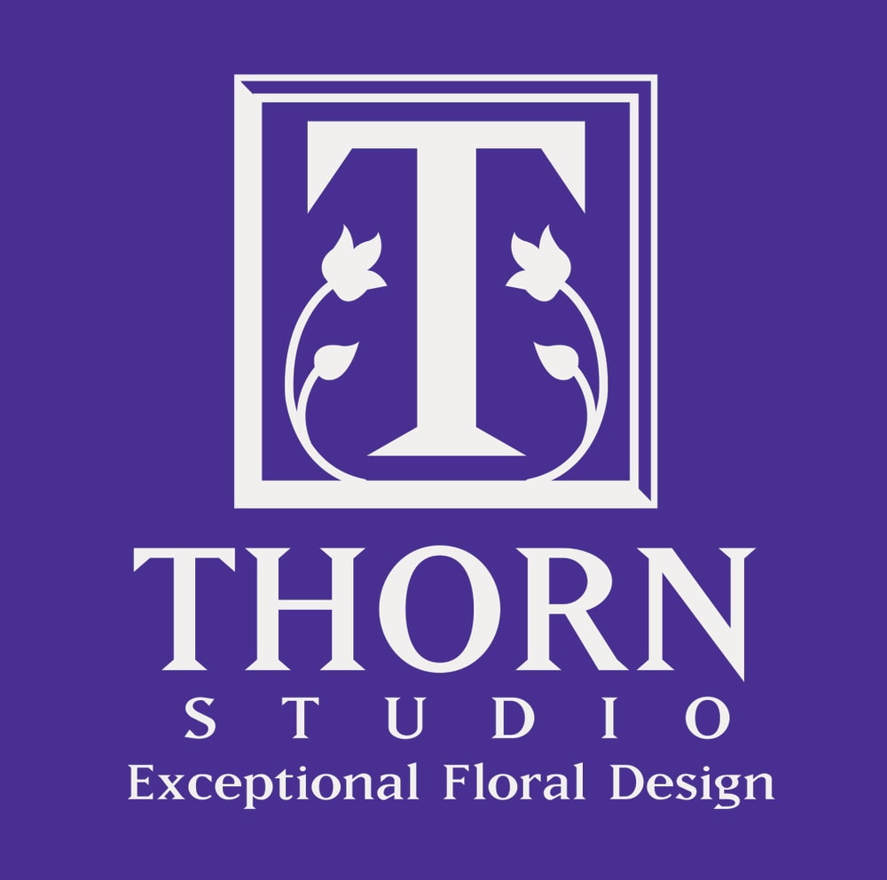 brittani nicole wood recommends studio of thorns pic