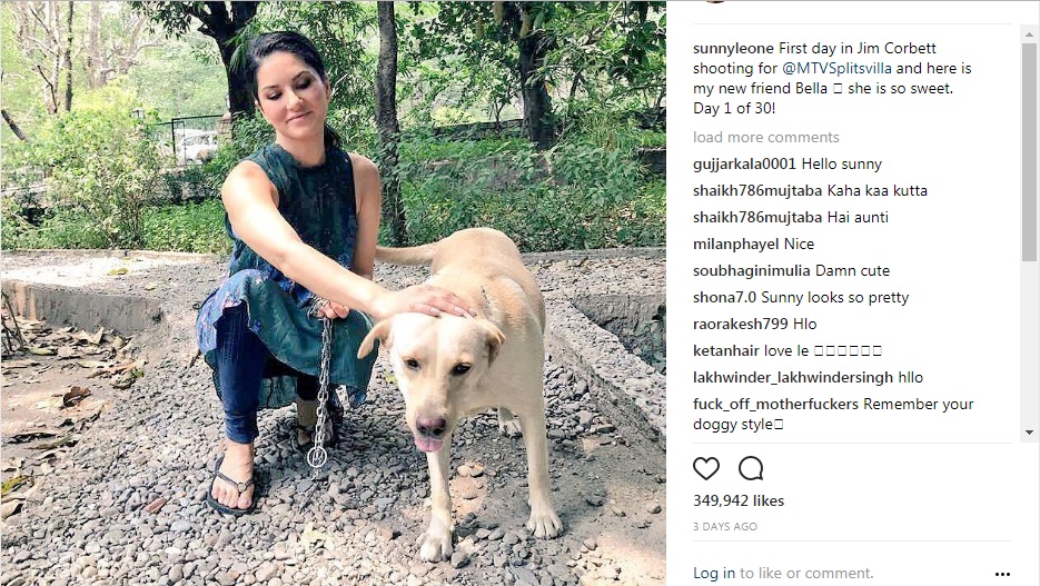 alin sat recommends Sunny Leone Doggy Style