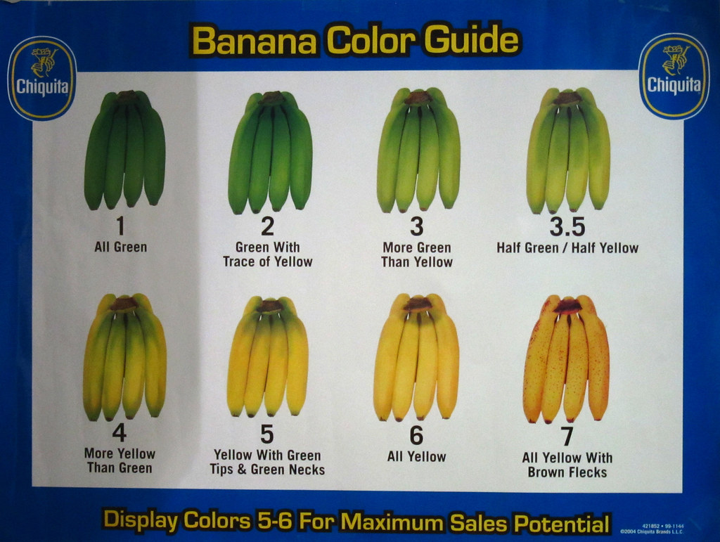 abby collado recommends the banana guide pic