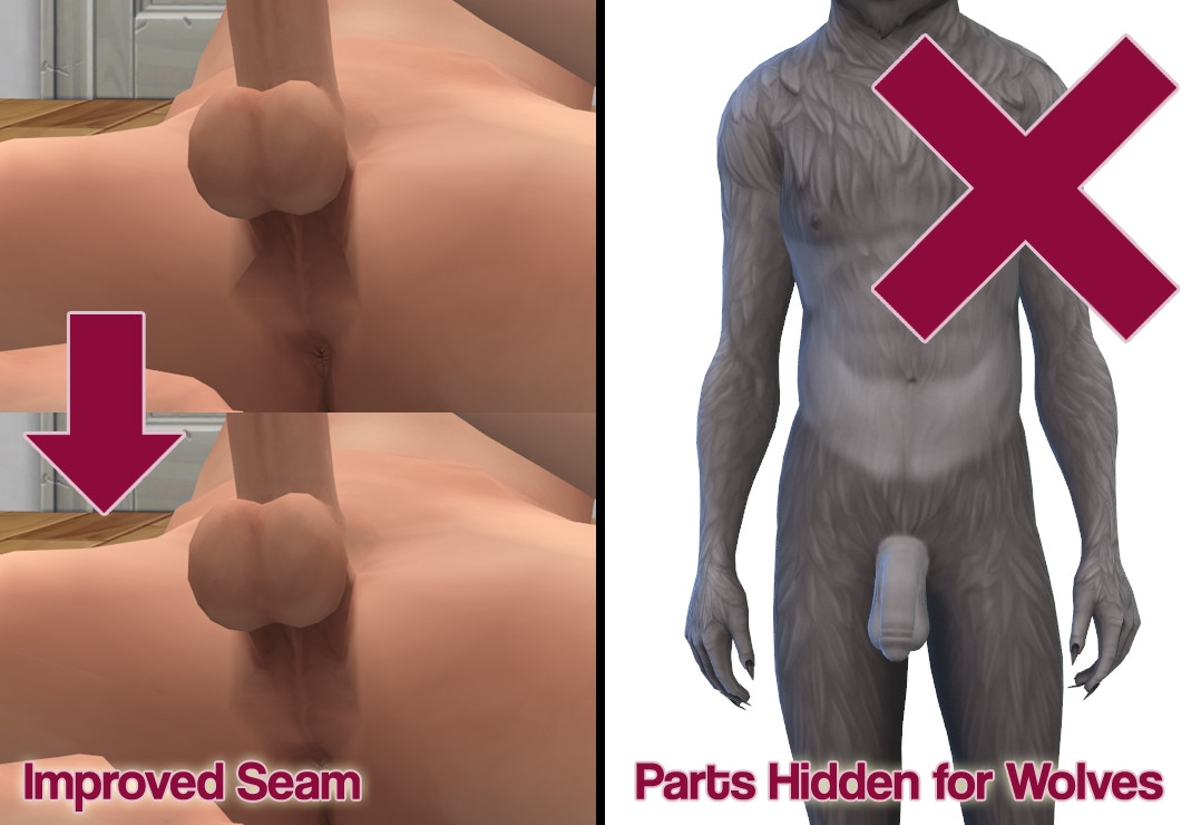 the sims 4 penis mod