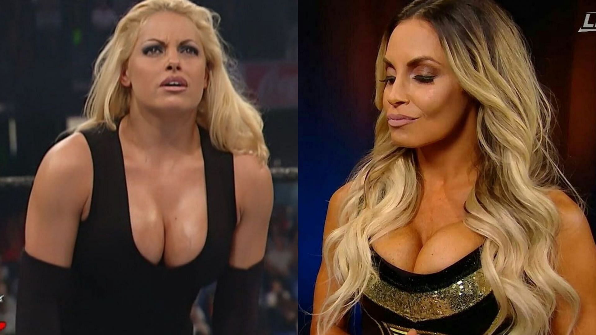 dottie northup recommends Torrie Wilson Vs Lita