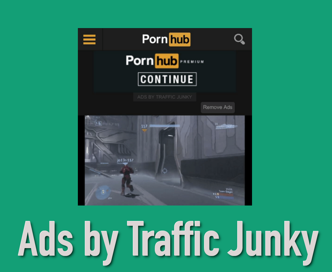 denise scarberry recommends traffic junky ads pic