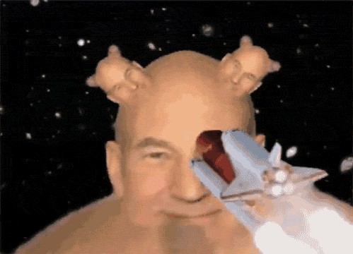 annie beecham recommends weird and funny gifs pic