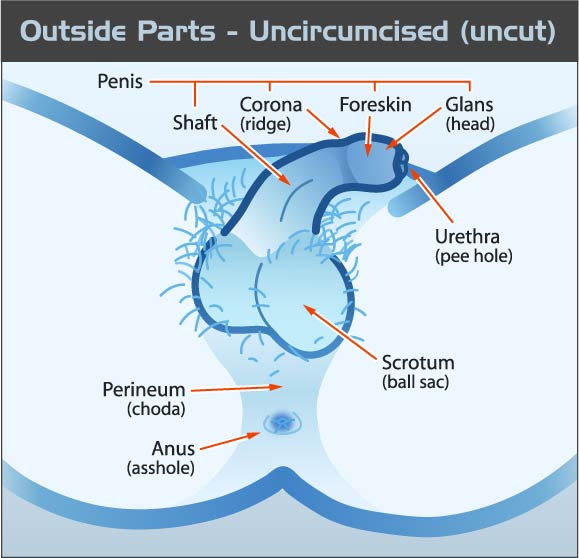 chad forward recommends what does pre cum taste like pic