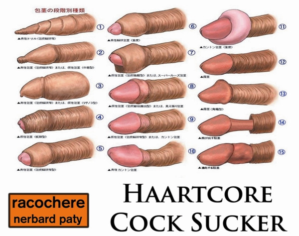 chris glad recommends what is a cock sucker pic