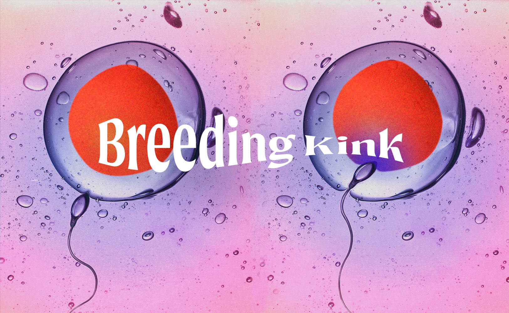 Whats A Breeding Kink son breakfast