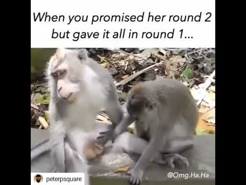 al rago recommends when you promised her round 2 gif pic