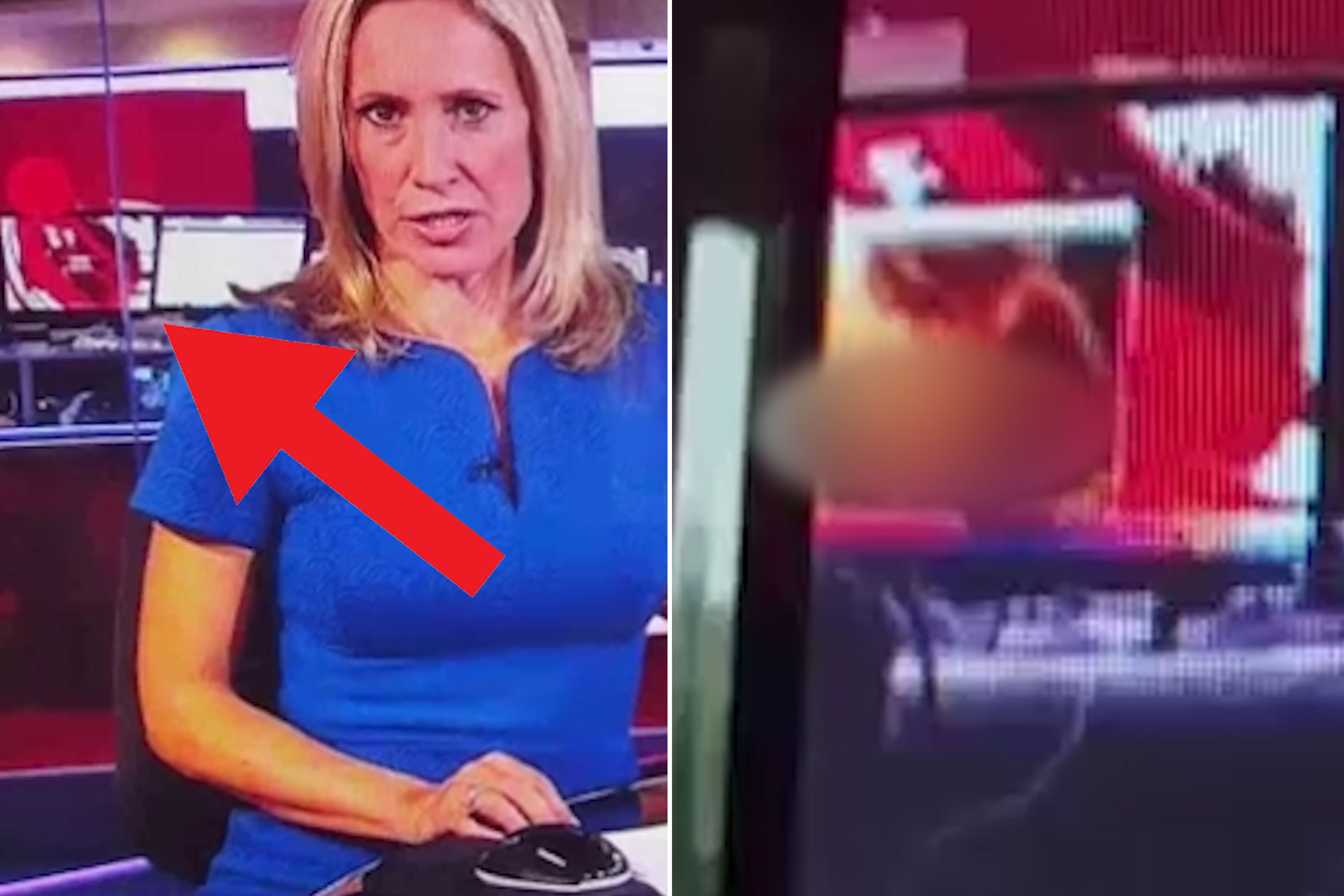 annette wilcox recommends women news anchors nude pic