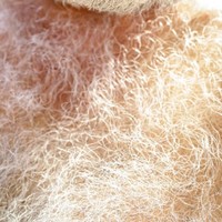 cody lambeth recommends Women With Hairy Bums