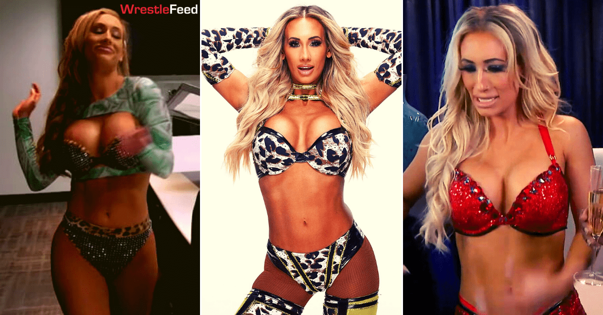 ann guiberson recommends Wwe Divas Nip Slip Pics