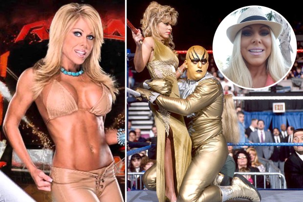 chetan thapar recommends Wwf Terri Runnels Nude