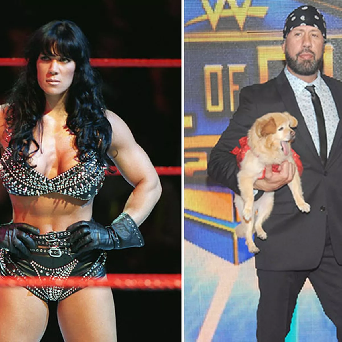 carl stephen recommends x pac and chyna pic