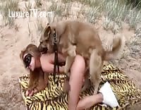 zoo porn lady on beach xvideo